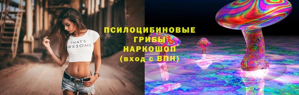 первитин Гусев