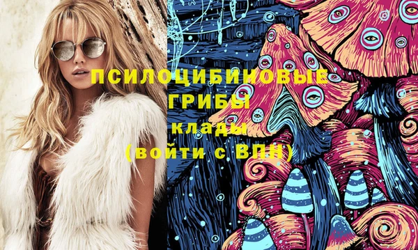 ешки Гусиноозёрск