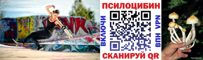 Купить где  Кола  Галлюциногенные грибы прущие грибы 